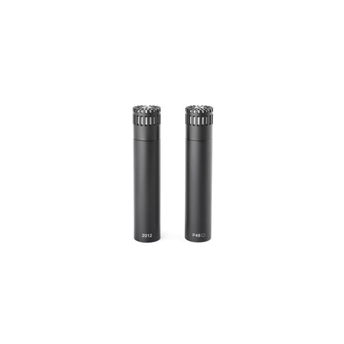 2012-compact-cardioid-st-standing-p48-3543x2362