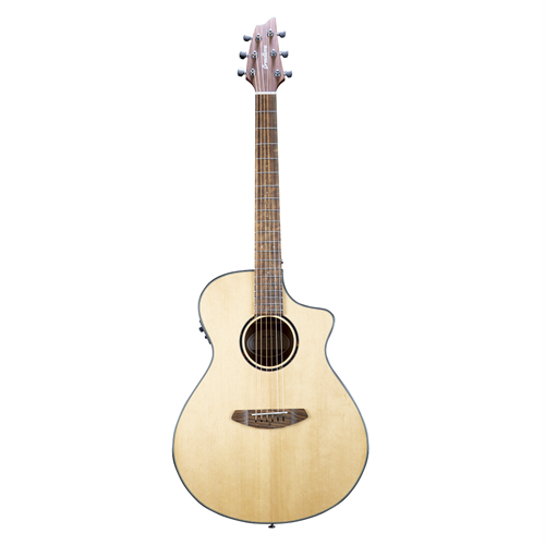 Breedlove shop discovery series