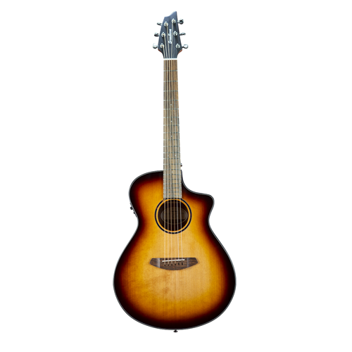 Breedlove shop discovery series